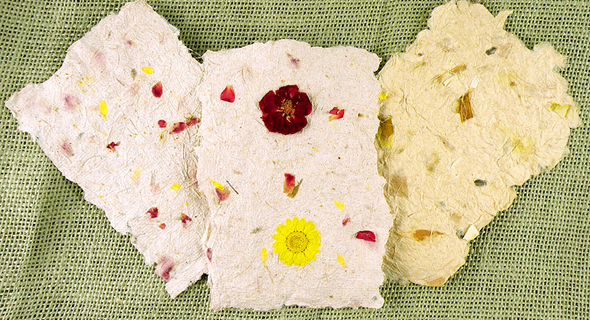 Handmade Seeded Paper