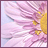 Picture of Gina_